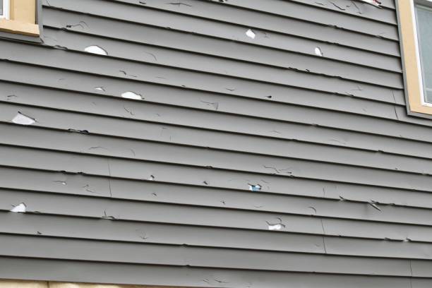 Best Hoarding Cleanup  in Ellijay, GA